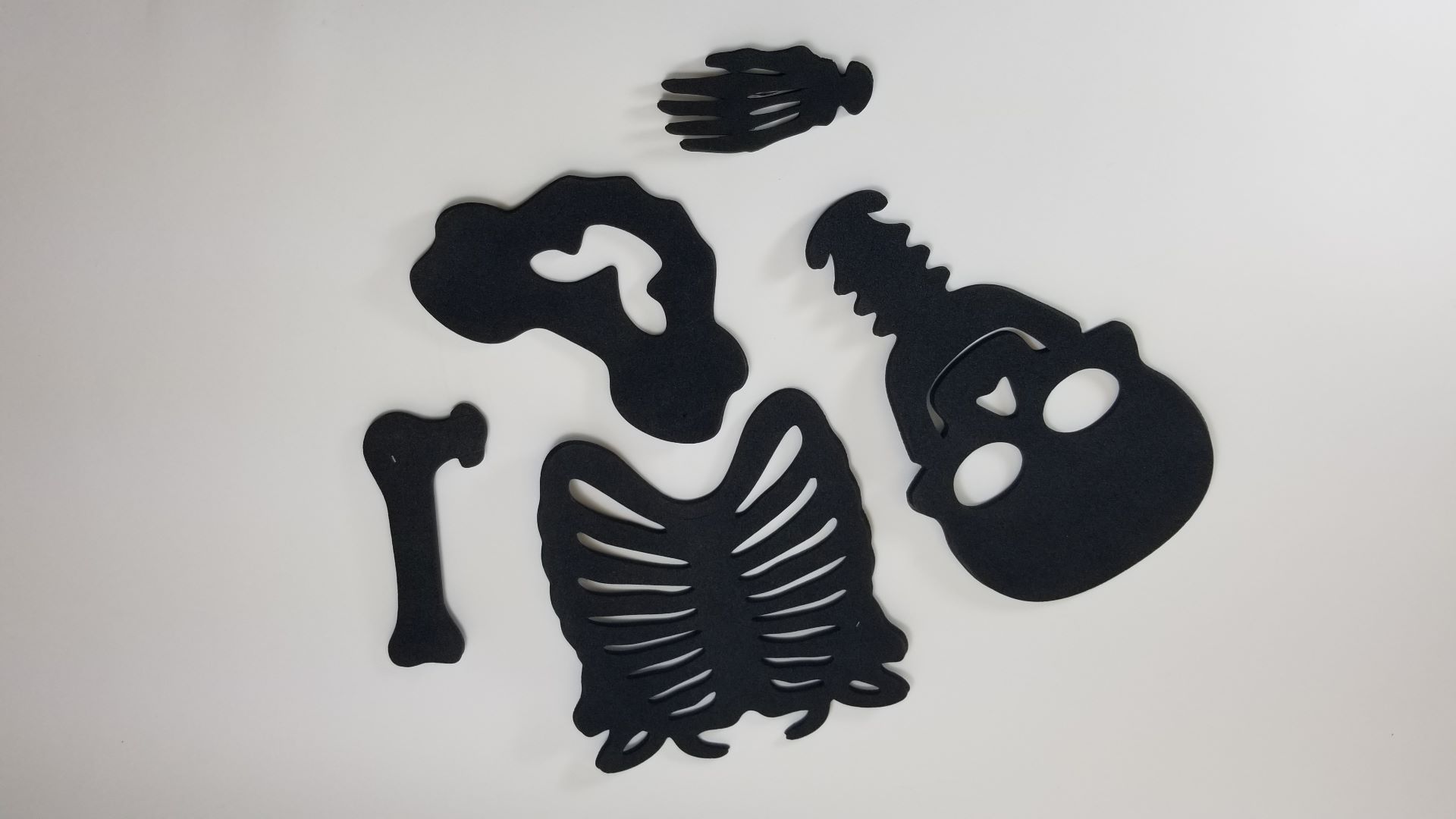 Foam Skeleton Educational Toy. These foam shapes were die cut and are used in a finished product for retail customers.